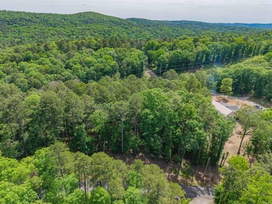 Here is a wonderful opportunity for you to own almost 2 acres of - photo 3