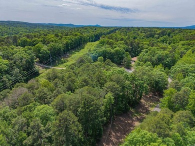 Here is a wonderful opportunity for you to own almost 2 acres of - photo 4