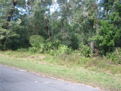 (private lake, pond, creek) Lot For Sale in Hernando Florida