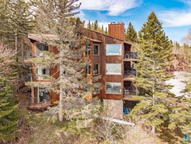 Lake Home For Sale in Tofte, Minnesota