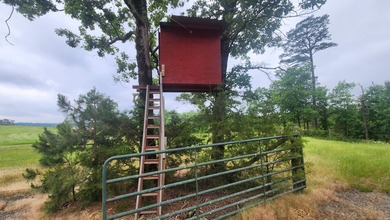 (private lake, pond, creek) Acreage For Sale in Norman Arkansas