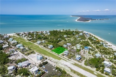 Fly your plane or take a boat ride to your new house on North - photo 11