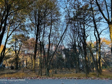 Lake Lot For Sale in Albrightsville, Pennsylvania