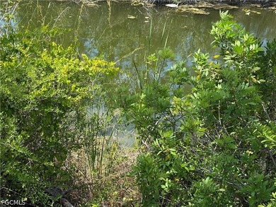 Ready to build your dream home on a canal. desireable area of - photo 3
