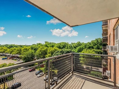Great Opportunity to own this gorgeous 1 Bedroom 1 Bath co op - photo 1