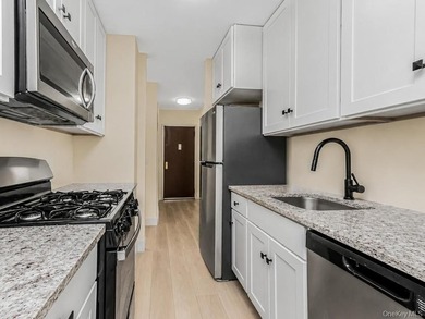 Great Opportunity to own this gorgeous 1 Bedroom 1 Bath co op - photo 6