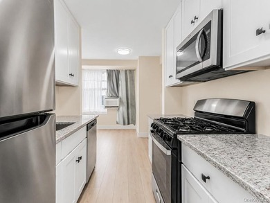 Great Opportunity to own this gorgeous 1 Bedroom 1 Bath co op - photo 7