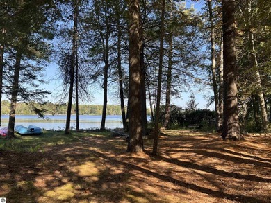 Your Up North Oasis Awaits on East Lake in KALKASKA COUNTY. Swan - photo 17