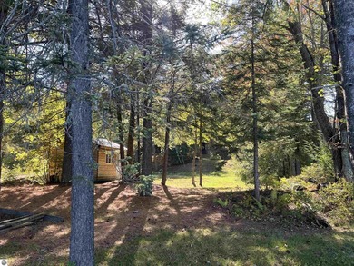 Your Up North Oasis Awaits on East Lake in KALKASKA COUNTY. Swan - photo 19