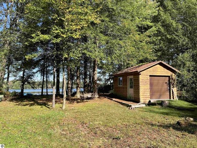Your Up North Oasis Awaits on East Lake in KALKASKA COUNTY. Swan - photo 21