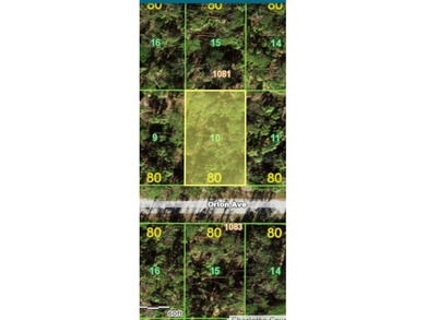 Build your Dream Home on this Residential lot at 17474 Orion Ave - photo 3