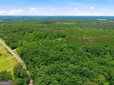 Experience privacy, luxury, and unique character in this - photo 42