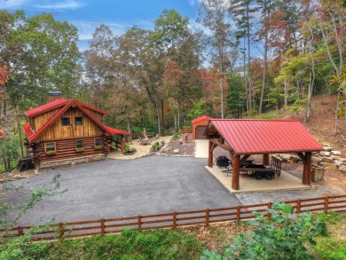 Lake Home For Sale in Mineral Bluff, Georgia