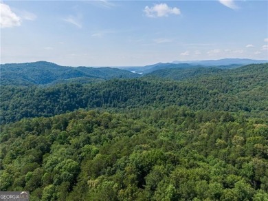Lake Acreage For Sale in Ranger, Georgia