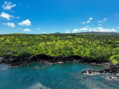 INCOMPARABLE OCEANFRONT ESTATE ALONG THE KOHALA COAST. Nestled - photo 3
