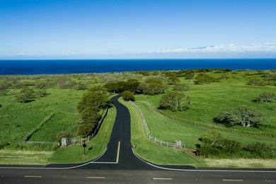 INCOMPARABLE OCEANFRONT ESTATE ALONG THE KOHALA COAST. Nestled - photo 5