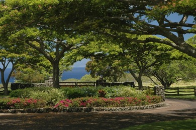 INCOMPARABLE OCEANFRONT ESTATE ALONG THE KOHALA COAST. Nestled - photo 7