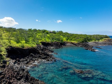INCOMPARABLE OCEANFRONT ESTATE ALONG THE KOHALA COAST. Nestled - photo 8