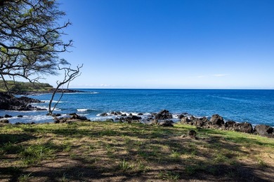 INCOMPARABLE OCEANFRONT ESTATE ALONG THE KOHALA COAST. Nestled - photo 9