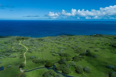 INCOMPARABLE OCEANFRONT ESTATE ALONG THE KOHALA COAST. Nestled - photo 10