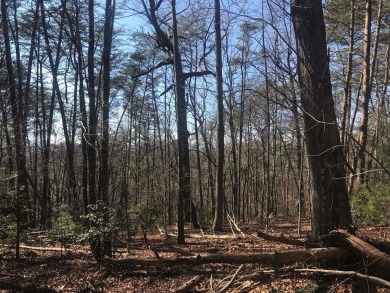 Lake Acreage For Sale in Hayesville, North Carolina