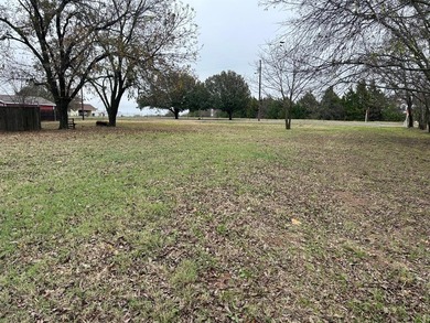 Lake Lot For Sale in Pottsboro, Texas