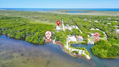 Huge Direct Oceanfront Compound -- One-of-a-Kind with 276-Foot - photo 2
