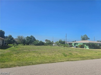 Beautiful residential building lot in the heart of Cape Coral - photo 1
