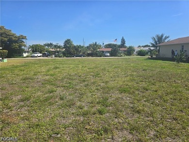 Beautiful residential building lot in the heart of Cape Coral - photo 3