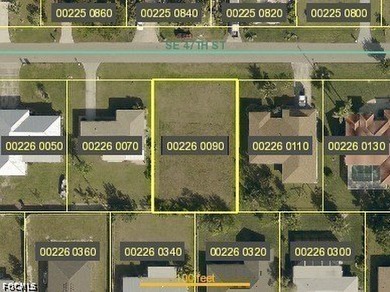 Beautiful residential building lot in the heart of Cape Coral - photo 5