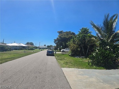 Beautiful residential building lot in the heart of Cape Coral - photo 8