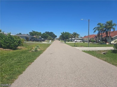 Beautiful residential building lot in the heart of Cape Coral - photo 9