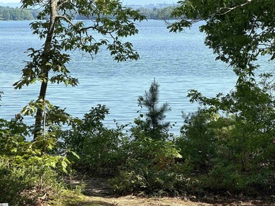 Lake-View Living at its Finest in Blue Ridge Plantation. Welcome - photo 45