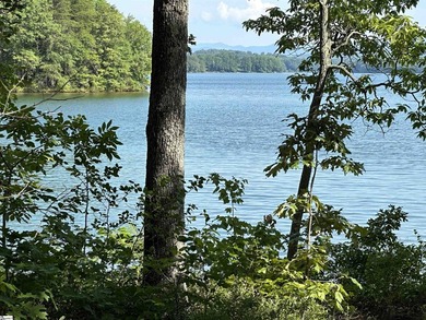 Lake-View Living at its Finest in Blue Ridge Plantation. Welcome - photo 46