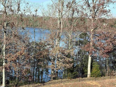 Lake-View Living at its Finest in Blue Ridge Plantation. Welcome - photo 47
