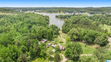 Logan Martin Lake Acreage For Sale in Lincoln Alabama