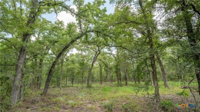 (private lake, pond, creek) Acreage For Sale in Buckholts Texas