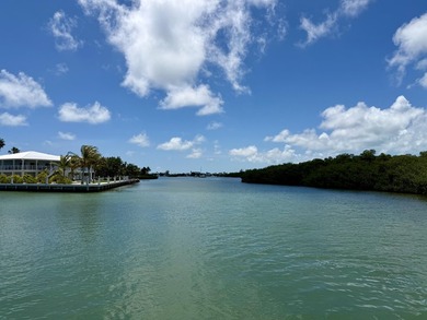 Experience the ultimate Florida Keys waterfront lifestyle with - photo 2