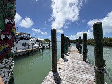 Experience the ultimate Florida Keys waterfront lifestyle with - photo 8