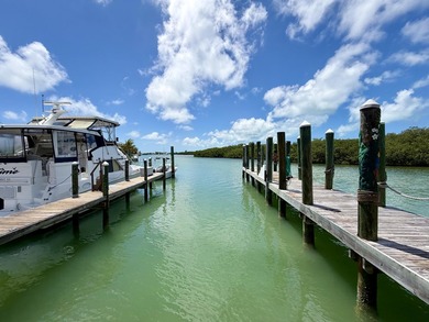Experience the ultimate Florida Keys waterfront lifestyle with - photo 9