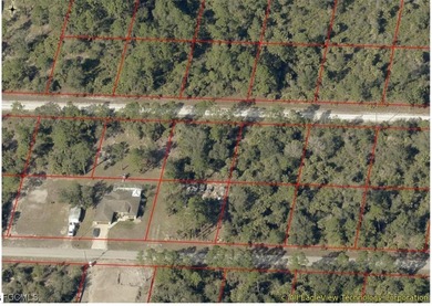 Lehigh Acres Area Lot For Sale in Alva Florida