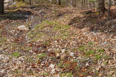 13095 - Escape to the heart of Maine's outdoor recreation - photo 44