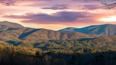 Cherry Log Lake Lot Active Under Contract in Blue Ridge Georgia