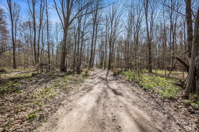 Lake Acreage For Sale in Grant, Michigan