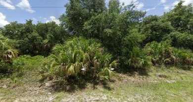 Northport Waterway Lakes and Canals Lot For Sale in North Port Florida