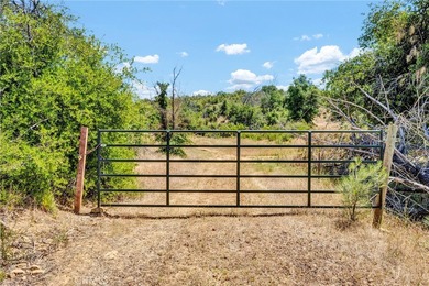 (private lake, pond, creek) Acreage For Sale in Lower Lake California