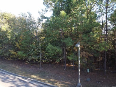 (private lake, pond, creek) Lot For Sale in Hot Springs Arkansas