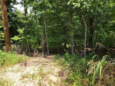 Lake Norwood Lot For Sale in Bella Vista Arkansas