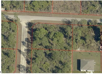 Lehigh Acres Area Lot For Sale in Lehigh Acres Florida