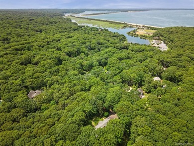 Nestled on 2.4 secluded acres in the prestigious Village of Old - photo 46